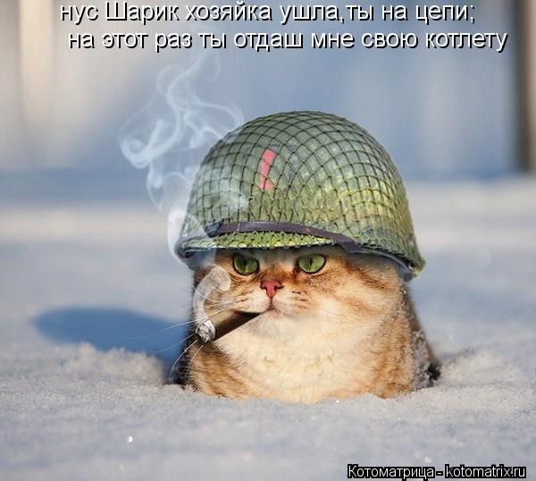 нус Шарик хозяйка ушла,ты на цепи; на этот раз ты отдаш мне свою котлету... Котоматрица: нус Шарик хозяйка ушла,ты на цепи; на этот раз ты отдаш мне свою котлету
