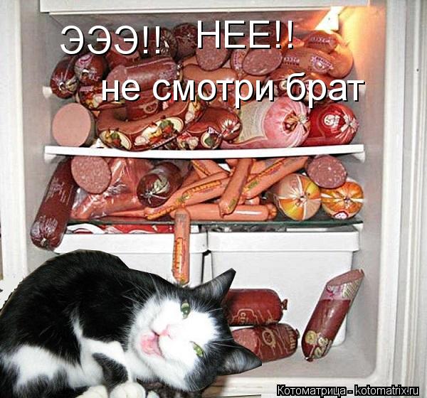 ЭЭЭ!! НЕЕ!! не смотри брат... Котоматрица: ЭЭЭ!! НЕЕ!! не смотри брат