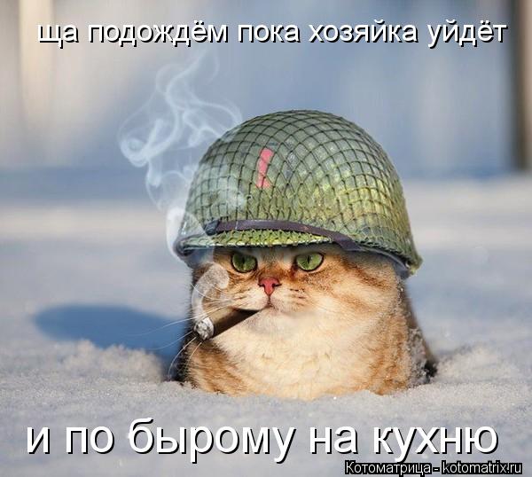 ща подождём пока хозяйка уйдёт и по бырому на кухню... Котоматрица: ща подождём пока хозяйка уйдёт и по бырому на кухню