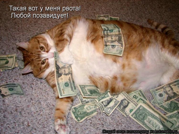 Такая вот у меня рвота! Любой позавидует!... Котоматрица: Такая вот у меня рвота! Любой позавидует!