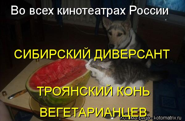 Во всех кинотеатрах России СИБИРСКИЙ ДИВЕРСАНТ ТРОЯНСКИЙ КОНЬ ВЕГЕТАРИАНЦЕВ... Котоматрица: Во всех кинотеатрах России СИБИРСКИЙ ДИВЕРСАНТ ТРОЯНСКИЙ КОНЬ ВЕГЕТАРИАНЦЕВ