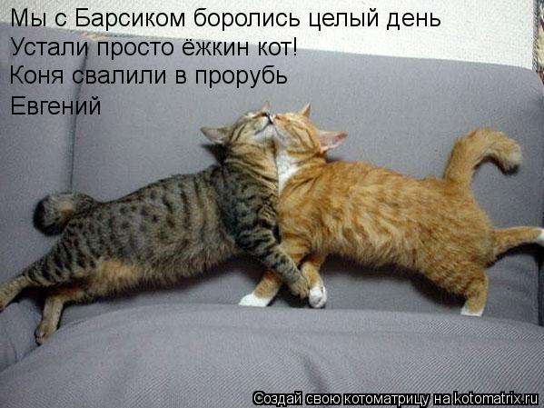 Мы с Барсиком боролись целый день Устали просто ёжкин кот! Коня свалили в прорубь Евгений... Котоматрица: Мы с Барсиком боролись целый день Устали просто ёжкин кот! Коня свалили в прорубь Евгений
