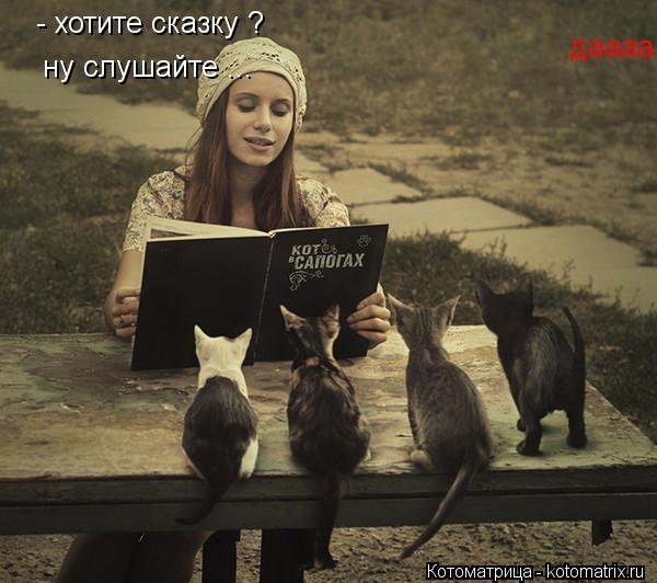 - хотите сказку ? даааа ну слушайте ...... Котоматрица: - хотите сказку ? даааа ну слушайте ...