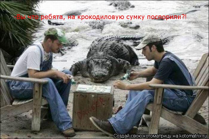 -Вы что ребята, на крокодиловую сумку поспорили?! -Вы что ребята, на крокодиловую сумку поспорили?!... Котоматрица: -Вы что ребята, на крокодиловую сумку поспорили?! -Вы что ребята, на крокодиловую сумку поспорили?!
