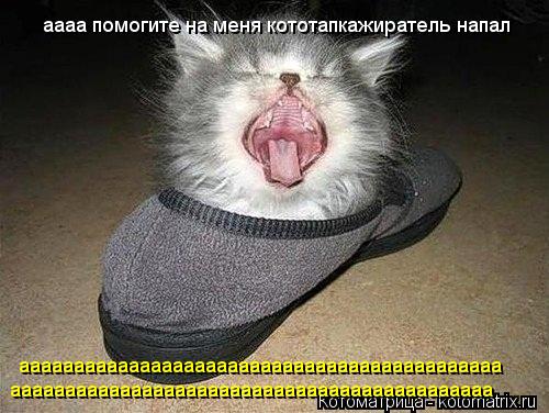 аааа помогите на меня кототапкажиратель напал аааааааааааааааааааааааааааааааааааааааааааа аааааааааа... Котоматрица: аааа помогите на меня кототапкажиратель напал аааааааааааааааааааааааааааааааааааааааааааа аааааааааааааааааааааааааааааааааааааааа