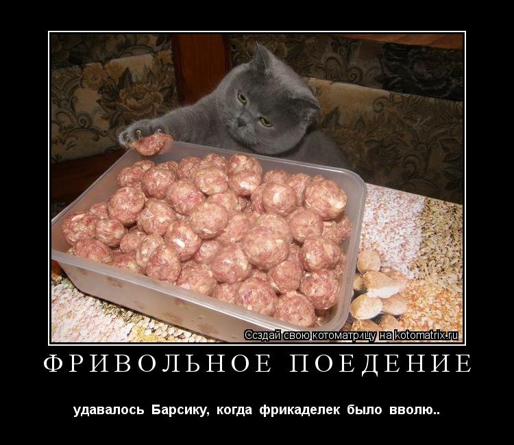 ФРИВОЛЬНОЕ ПОЕДЕНИЕ удавалось Барсику, когда фрикаделек было вволю..... Котоматрица: ФРИВОЛЬНОЕ ПОЕДЕНИЕ удавалось Барсику, когда фрикаделек было вволю..