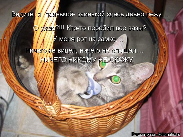 Видите, я ,паинькой- заинькой здесь давно лежу.... О ужас?!!! Кто-то перебил все вазы? У меня рот на ... Котоматрица: Видите, я ,паинькой- заинькой здесь давно лежу.... О ужас?!!! Кто-то перебил все вазы? У меня рот на замке,... Ничего не видел, ничего не слышал.... Н