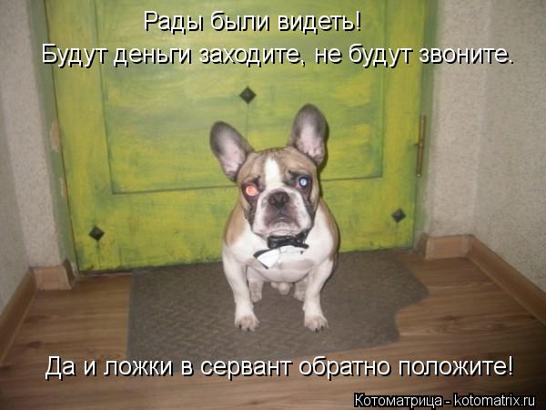 Рады были видеть! Будут деньги заходите, не будут звоните. Да и ложки в сервант обратно положите!... Котоматрица: Рады были видеть! Будут деньги заходите, не будут звоните. Да и ложки в сервант обратно положите!