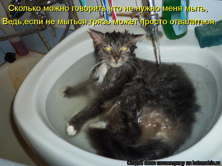 Сколько можно говорить,что не нужно меня мыть, Ведь,если не мыться,грязь может просто отвалиться.... Котоматрица: Сколько можно говорить,что не нужно меня мыть, Ведь,если не мыться,грязь может просто отвалиться.