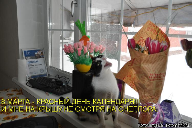 8 МАРТА - КРАСНЫЙ ДЕНЬ КАЛЕНДАРЯ!!! И МНЕ НА КРЫШУ,НЕ СМОТРЯ НА СНЕГ,ПОРА.... Котоматрица: 8 МАРТА - КРАСНЫЙ ДЕНЬ КАЛЕНДАРЯ!!! И МНЕ НА КРЫШУ,НЕ СМОТРЯ НА СНЕГ,ПОРА.