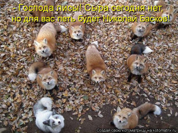 - Господа лисы! Сыра сегодня нет, но для вас петь будет Николай Басков!... Котоматрица: - Господа лисы! Сыра сегодня нет, но для вас петь будет Николай Басков!