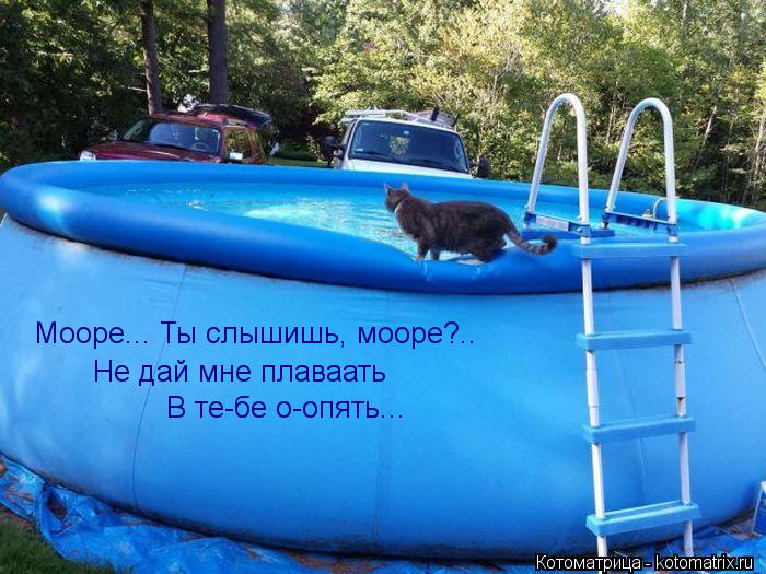 Мооре... Ты слышишь, мооре?.. Не дай мне плаваать В те-бе о-опять...... Котоматрица: Мооре... Ты слышишь, мооре?.. Не дай мне плаваать В те-бе о-опять...