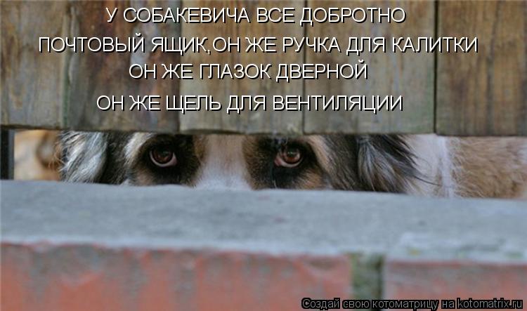 У СОБАКЕВИЧА ВСЕ ДОБРОТНО ПОЧТОВЫЙ ЯЩИК,ОН ЖЕ РУЧКА ДЛЯ КАЛИТКИ ОН ЖЕ ГЛАЗОК ДВЕРНОЙ ОН ЖЕ ЩЕЛЬ ДЛЯ В... Котоматрица: У СОБАКЕВИЧА ВСЕ ДОБРОТНО ПОЧТОВЫЙ ЯЩИК,ОН ЖЕ РУЧКА ДЛЯ КАЛИТКИ ОН ЖЕ ГЛАЗОК ДВЕРНОЙ ОН ЖЕ ЩЕЛЬ ДЛЯ ВЕНТИЛЯЦИИ