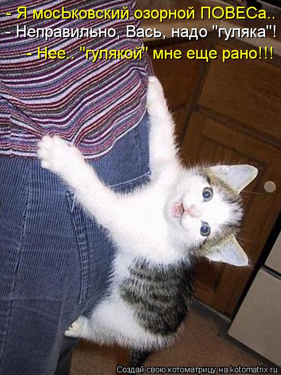 - Я мосЬковский озорной ПОВЕСа.. - Неправильно, Вась, надо "гуляка"! - Нее.. "гулякой" мне еще рано!!... Котоматрица: - Я мосЬковский озорной ПОВЕСа.. - Неправильно, Вась, надо "гуляка"! - Нее.. "гулякой" мне еще рано!!!