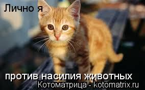 Лично я против насилия животных... Котоматрица: Лично я против насилия животных