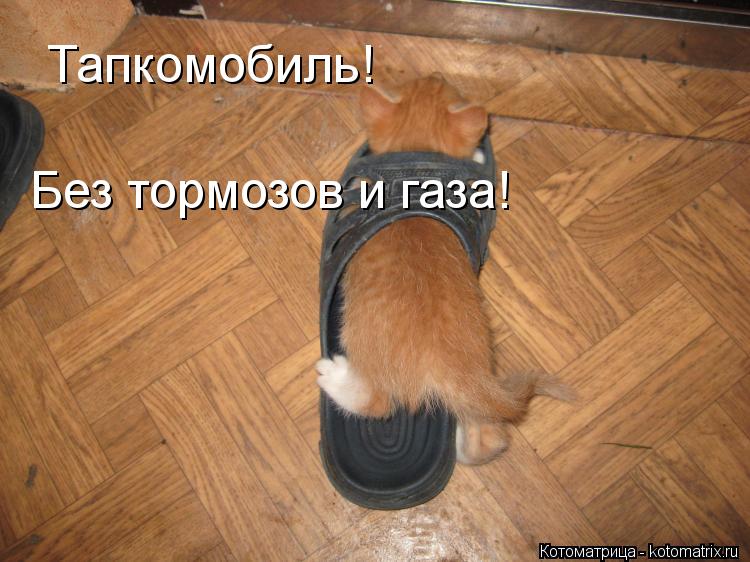 Тапкомобиль! Без тормозов и газа!... Котоматрица: Тапкомобиль! Без тормозов и газа!