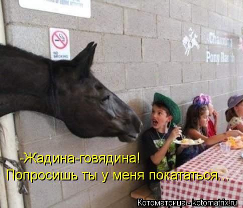 -Жадина-говядина! Попросишь ты у меня покататься...... Котоматрица: -Жадина-говядина! Попросишь ты у меня покататься...