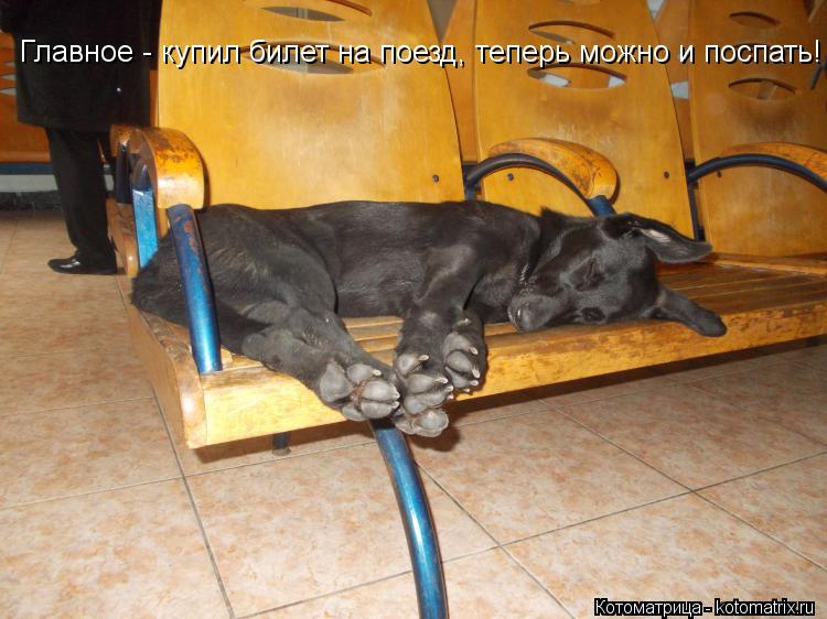 Главное - купил билет на поезд, теперь можно и поспать!... Котоматрица: Главное - купил билет на поезд, теперь можно и поспать!