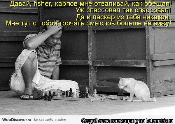 Давай, fisher, карпов мне отваливай, как обещал! Уж спас овал так спас овал! с ... Котоматрица: Давай, fisher, карпов мне отваливай, как обещал! Уж спас овал так спас овал! с с Да и ласкер из тебя никакой... Мне тут с тобой торчать