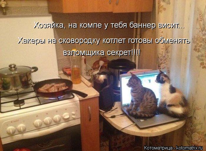 Хозяйка, на компе у тебя баннер висит... Хакеры на сковородку котлет готовы обменять взломщика секрет... Котоматрица: Хозяйка, на компе у тебя баннер висит... Хакеры на сковородку котлет готовы обменять взломщика секрет!!!!