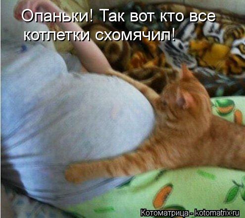 Опаньки! Так вот кто все котлетки схомячил!... Котоматрица: Опаньки! Так вот кто все котлетки схомячил!