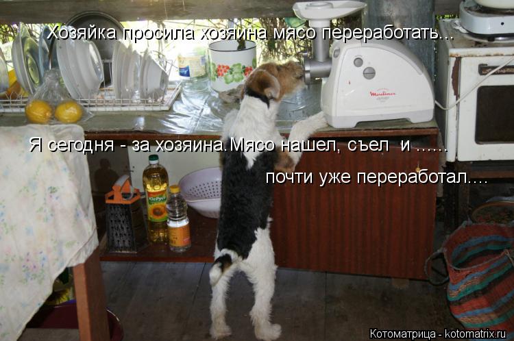 Хозяйка просила хозяина мясо переработать... Я сегодня - за хозяина.Мясо нашел, съел и ...... почти ... Котоматрица: Хозяйка просила хозяина мясо переработать... Я сегодня - за хозяина.Мясо нашел, съел и ...... почти уже переработал....