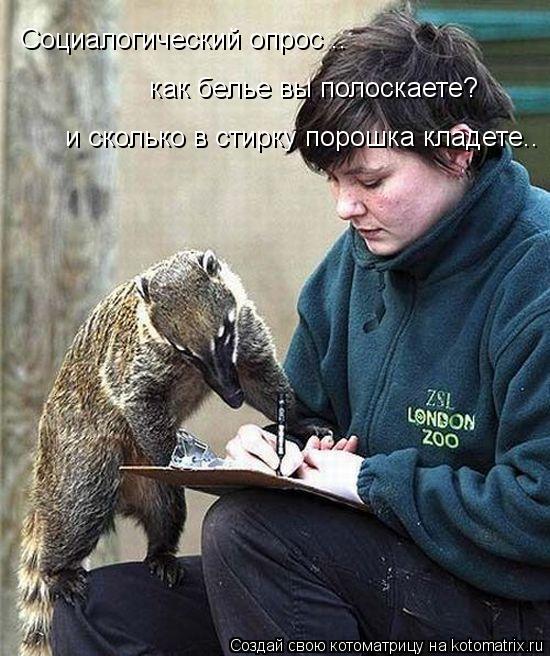 Социалогический опрос .. как белье вы полоскаете? и сколько в стирку порошка кладете..... Котоматрица: Социалогический опрос .. как белье вы полоскаете? и сколько в стирку порошка кладете..