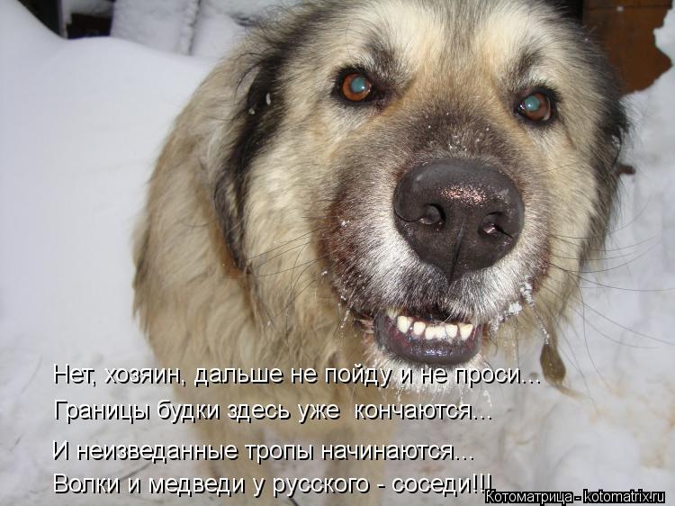 Нет, хозяин, дальше не пойду и не проси... Границы будки здесь уже кончаются... И неизведанные тропы... Котоматрица: Нет, хозяин, дальше не пойду и не проси... Границы будки здесь уже кончаются... И неизведанные тропы начинаются... Волки и медведи у русского -