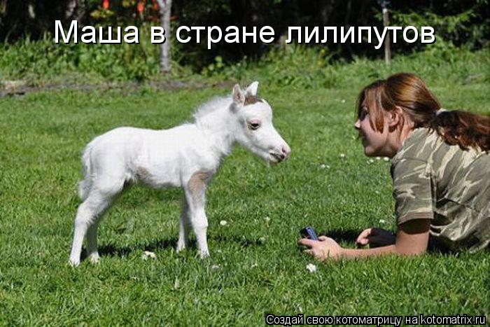 Маша в стране лилипутов... Котоматрица: Маша в стране лилипутов