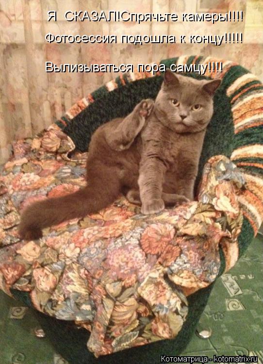 Фотосессия подошла к концу!!!!! Вылизываться пора самцу!!!! Я СКАЗАЛ!Спрячьте камеры!!!!... Котоматрица: Фотосессия подошла к концу!!!!! Вылизываться пора самцу!!!! Я СКАЗАЛ!Спрячьте камеры!!!!
