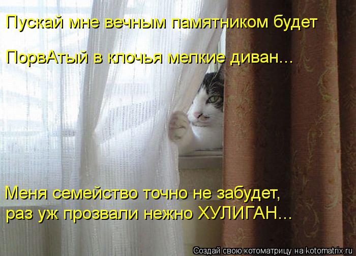 Пускай мне вечным памятником будет ПорвАтый в клочья мелкие диван... Меня семейство точно не забудет,... Котоматрица: Пускай мне вечным памятником будет ПорвАтый в клочья мелкие диван... Меня семейство точно не забудет, раз уж прозвали нежно ХУЛИГАН...