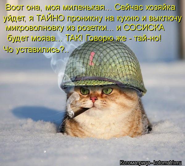 Воот она, моя миленькая... Сейчас хозяйка уйдет, я ТАЙНО проникну на кухню и выключу микроволновку и... Котоматрица: Воот она, моя миленькая... Сейчас хозяйка уйдет, я ТАЙНО проникну на кухню и выключу микроволновку из розетки... и СОСИСКА будет мояаа... ТАК!