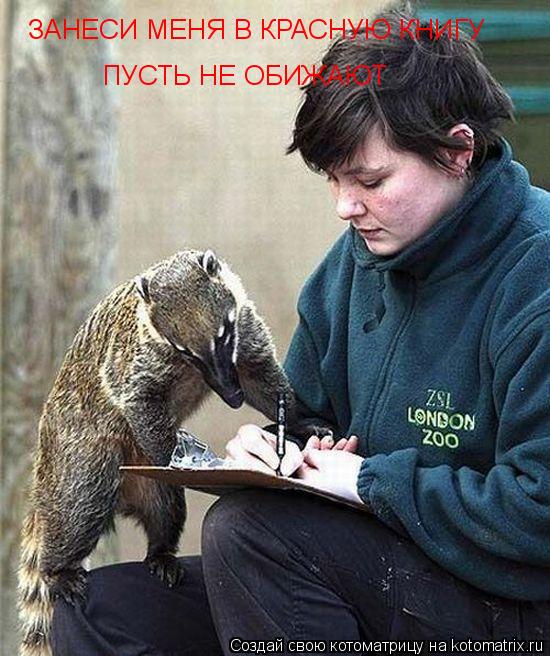 ЗАНЕСИ МЕНЯ В КРАСНУЮ КНИГУ ПУСТЬ НЕ ОБИЖАЮТ... Котоматрица: ЗАНЕСИ МЕНЯ В КРАСНУЮ КНИГУ ПУСТЬ НЕ ОБИЖАЮТ