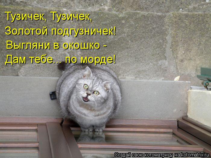 Тузичек, Тузичек, Золотой подгузничек! Выгляни в окошко - Дам тебе... по морде!... Котоматрица: Тузичек, Тузичек, Золотой подгузничек! Выгляни в окошко - Дам тебе... по морде!
