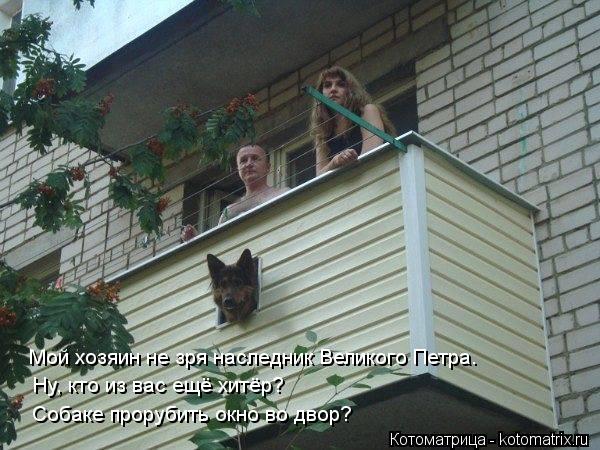 Мой хозяин не зря наследник Великого Петра. Ну, кто из вас ещё хитёр? Собаке прорубить окно во двор?... Котоматрица: Мой хозяин не зря наследник Великого Петра. Ну, кто из вас ещё хитёр? Собаке прорубить окно во двор?