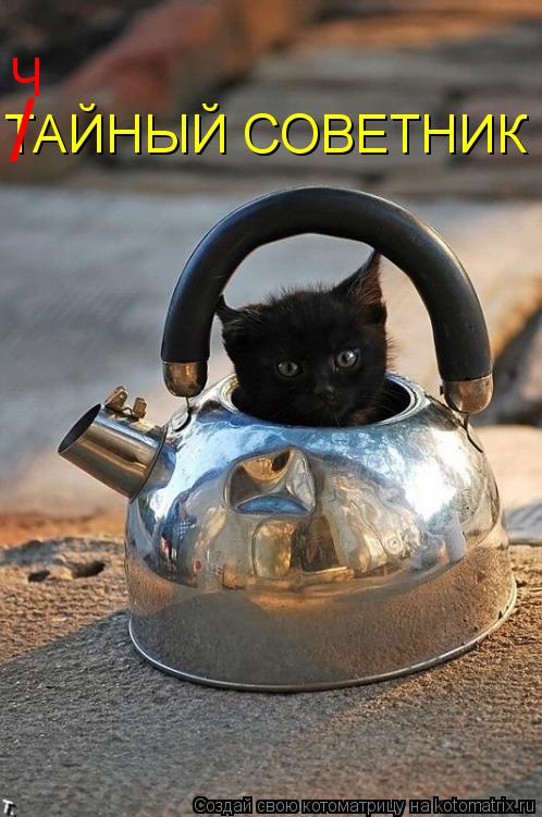 ТАЙНЫЙ СОВЕТНИК / Ч... Котоматрица: ТАЙНЫЙ СОВЕТНИК / Ч