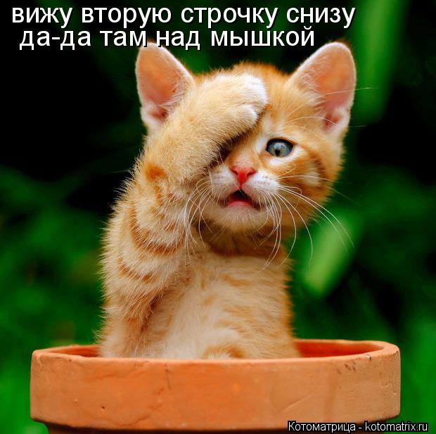 вижу вторую строчку снизу да-да там над мышкой... Котоматрица: вижу вторую строчку снизу да-да там над мышкой