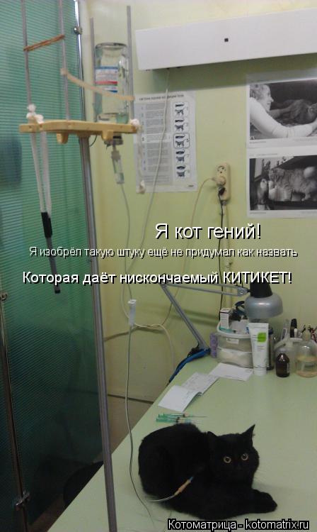 Я кот гений! Я изобрёл такую штуку ещё не придумал как назвать Которая даёт нискончаемый КИТИКЕТ!... Котоматрица: Я кот гений! Я изобрёл такую штуку ещё не придумал как назвать Которая даёт нискончаемый КИТИКЕТ!