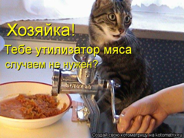 Хозяйка! Тебе утилизатор мяса случаем не нужен?... Котоматрица: Хозяйка! Тебе утилизатор мяса случаем не нужен?