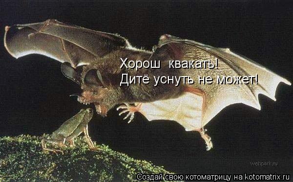 Хорош квакать! Дитё уснуть не может!... Котоматрица: Хорош квакать! Дитё уснуть не может!