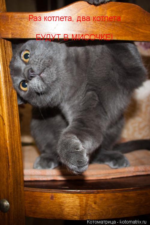 Котоматрица: Раз котлета, два котлета БУДУТ В МИСОЧКЕ!