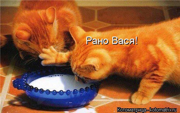 Рано Вася!... Котоматрица: Рано Вася!