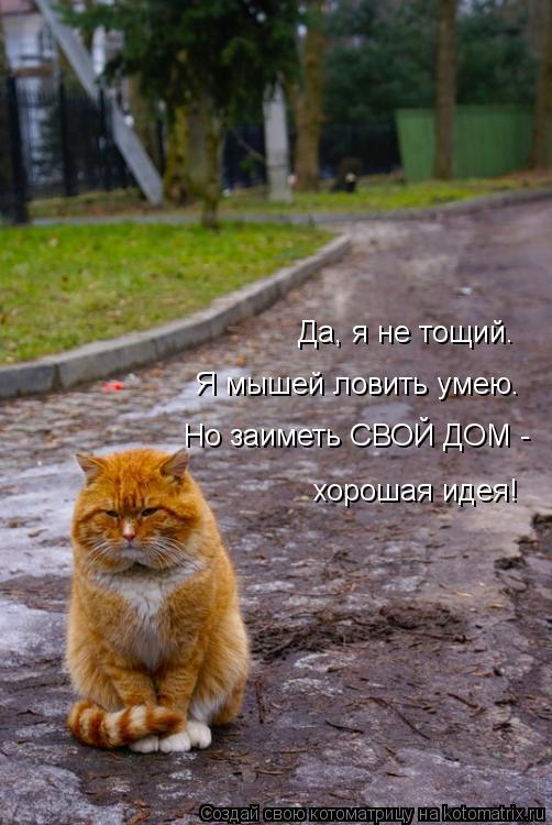 Но заиметь СВОЙ ДОМ - Я мышей ловить умею. Да, я не тощий. хорошая идея!... Котоматрица: Но заиметь СВОЙ ДОМ - Я мышей ловить умею. Да, я не тощий. хорошая идея!