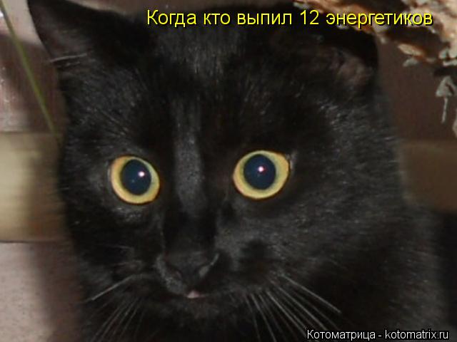Когда кто выпил 12 энергетиков... Котоматрица: Когда кто выпил 12 энергетиков