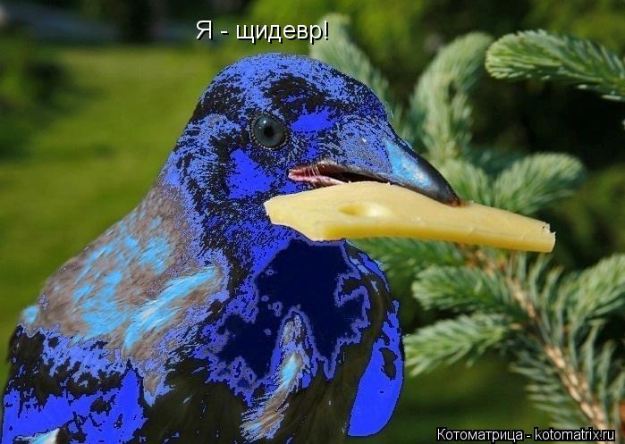 Котоматрица: Я - щидевр!