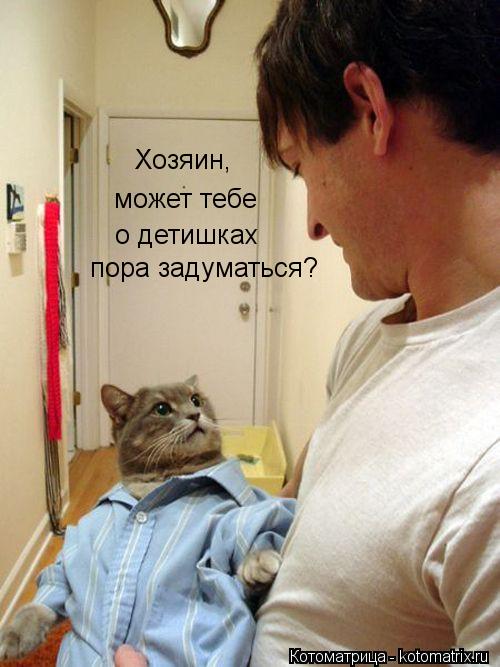 Хозяин, может тебе о детишках пора задуматься?... Котоматрица: Хозяин, может тебе о детишках пора задуматься?