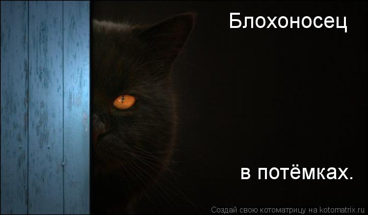 Блохоносец в потёмках.... Котоматрица: Блохоносец в потёмках.