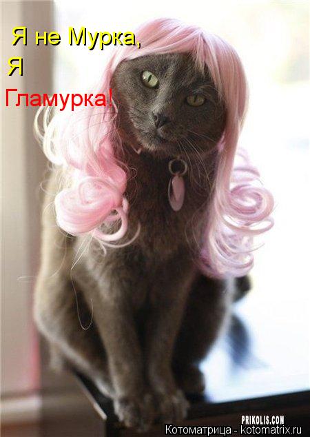 Я не Мурка, Я Гламурка!... Котоматрица: Я не Мурка, Я Гламурка!