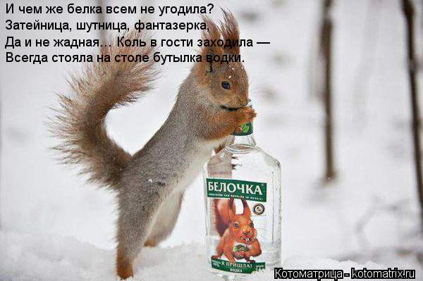 И чем же белка всем не угодила? Затейница, шутница, фантазерка, Да и не жадная… Коль в гости заходила... Котоматрица: И чем же белка всем не угодила? Затейница, шутница, фантазерка, Да и не жадная… Коль в гости заходила — Всегда стояла на столе бутылка водки.