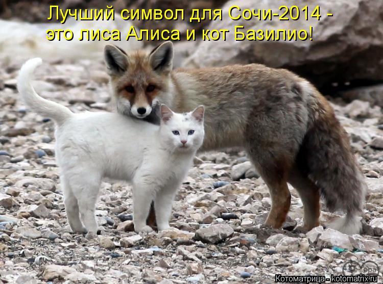 Лучший символ для Сочи-2014 - это лиса Алиса и кот Базилио!... Котоматрица: Лучший символ для Сочи-2014 - это лиса Алиса и кот Базилио!